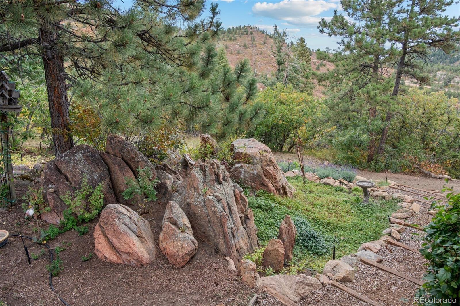 MLS Image #17 for 14229  elk mountain trail,littleton, Colorado