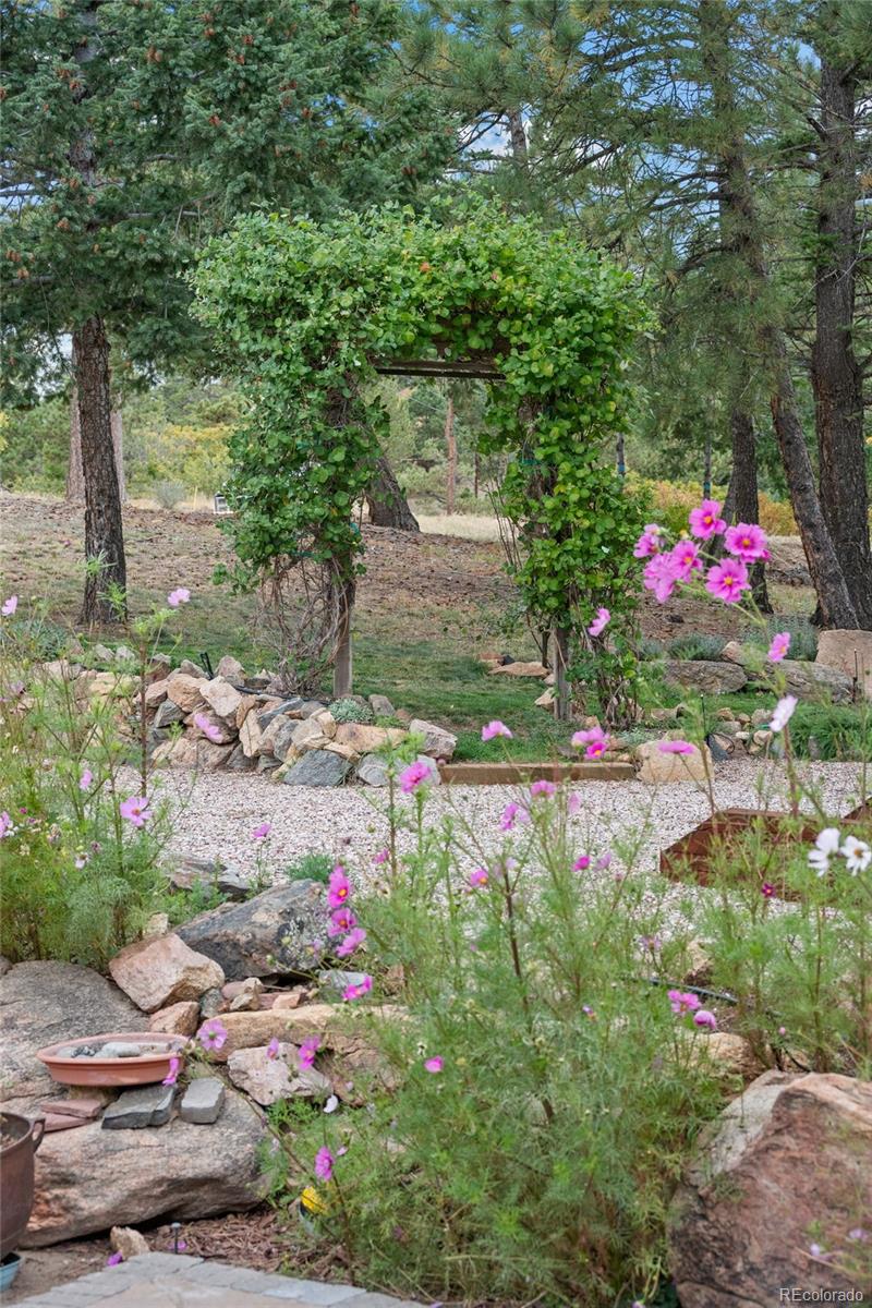 MLS Image #18 for 14229  elk mountain trail,littleton, Colorado