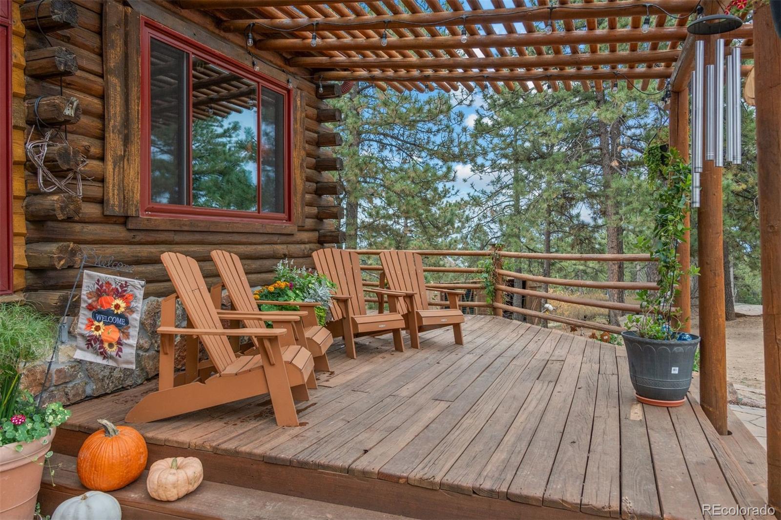 MLS Image #19 for 14229  elk mountain trail,littleton, Colorado