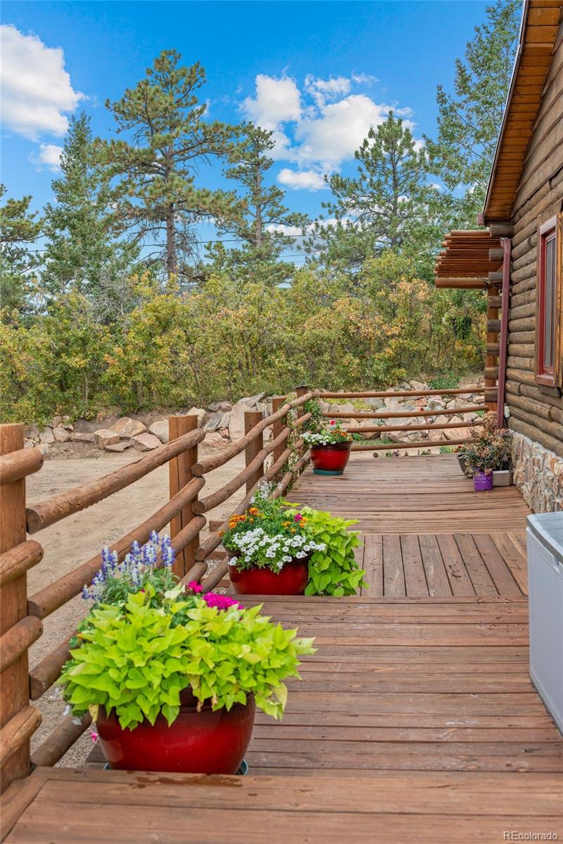 MLS Image #20 for 14229  elk mountain trail,littleton, Colorado