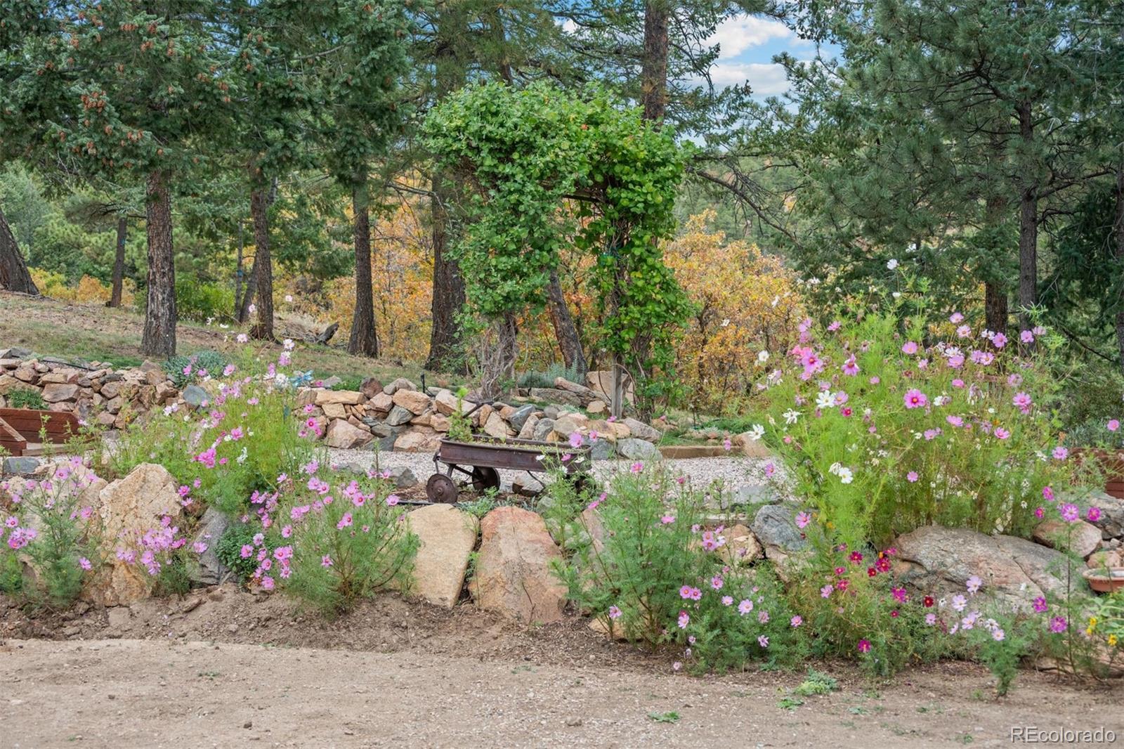 MLS Image #26 for 14229  elk mountain trail,littleton, Colorado