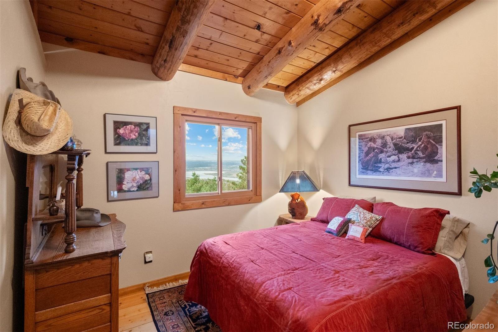 MLS Image #9 for 14229  elk mountain trail,littleton, Colorado