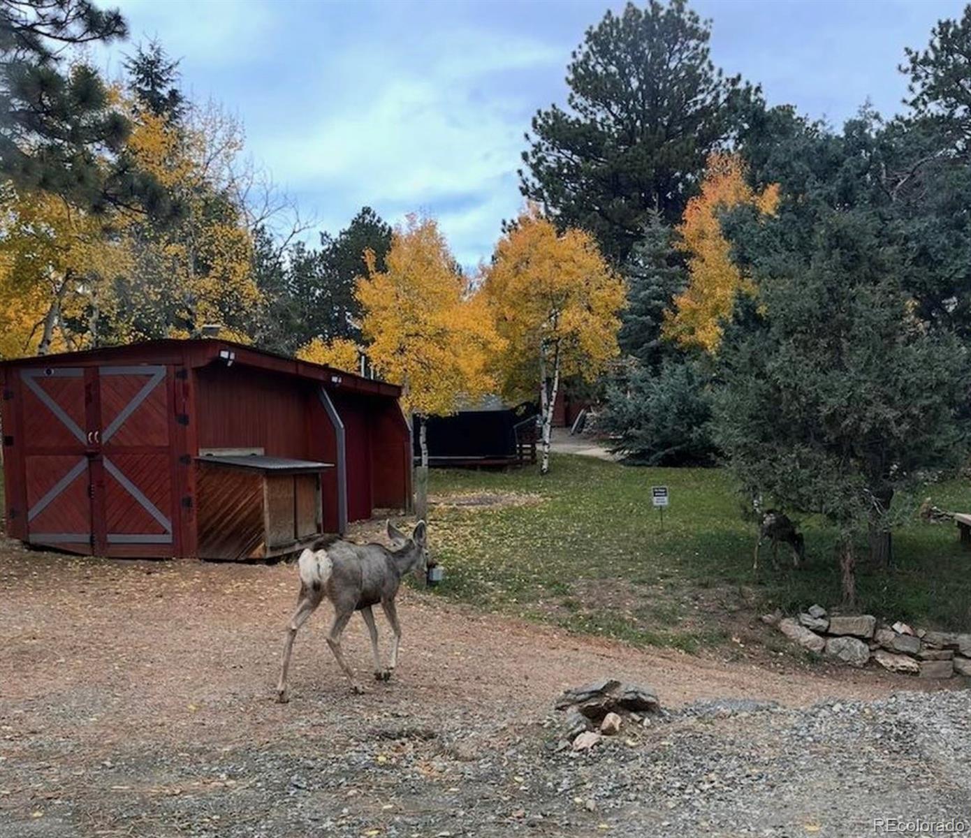 MLS Image #4 for 280  bunny road,bailey, Colorado