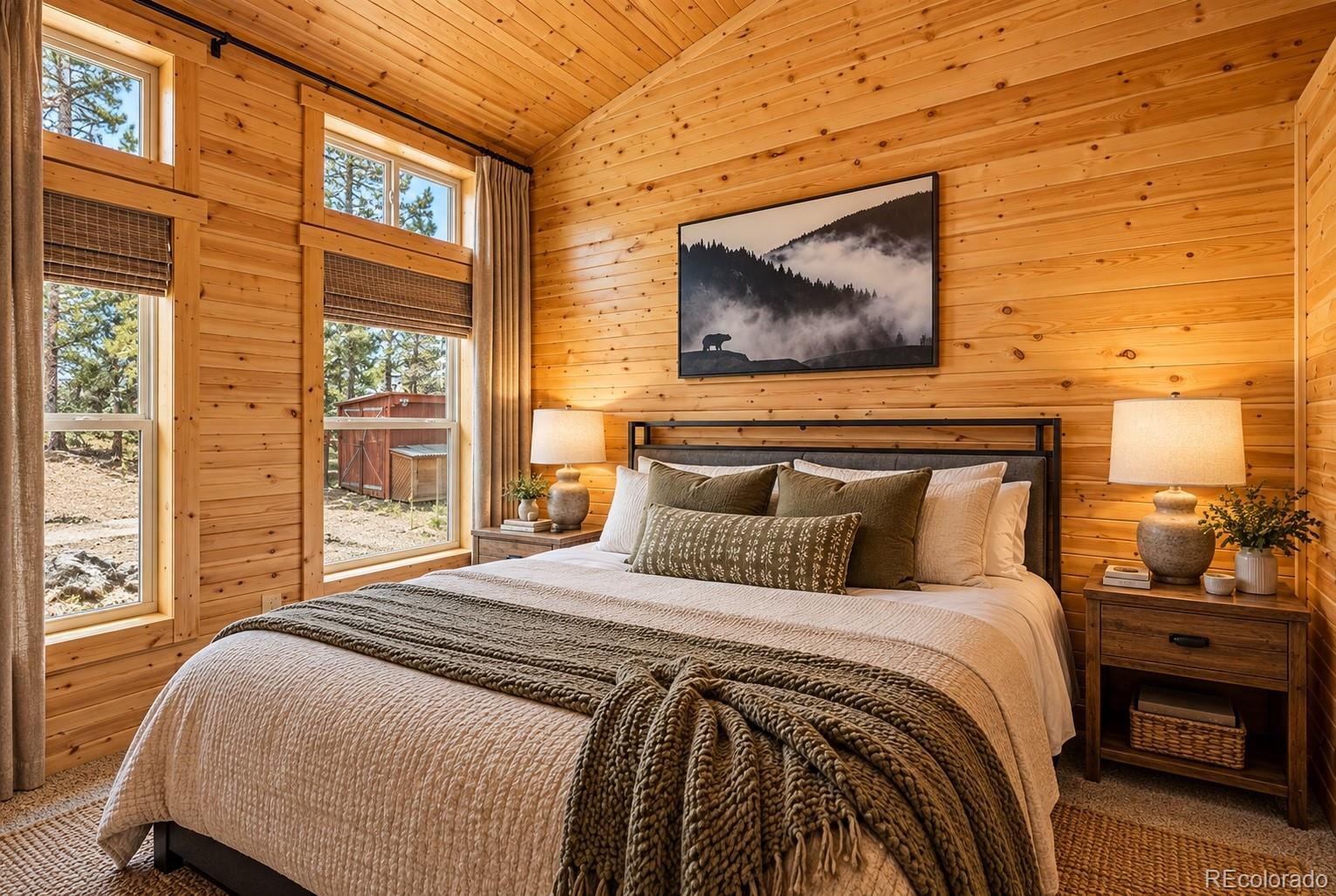 MLS Image #8 for 280  bunny road,bailey, Colorado