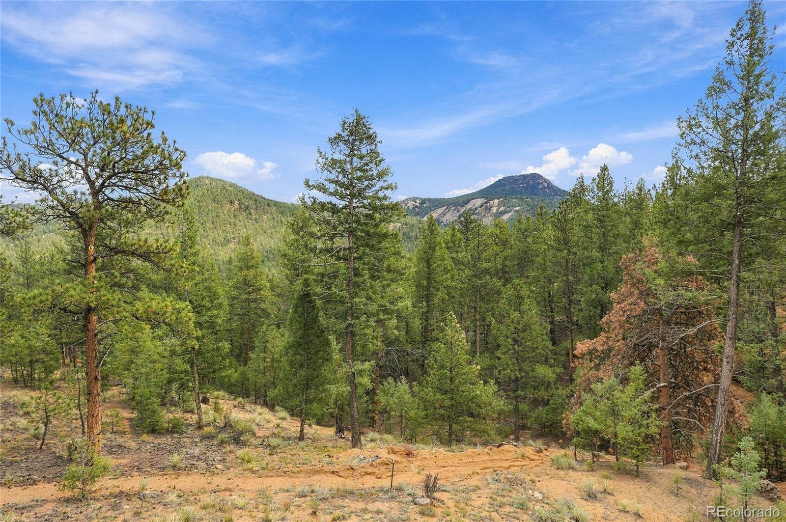 MLS Image #16 for 28934  amerind springs trail,pine, Colorado