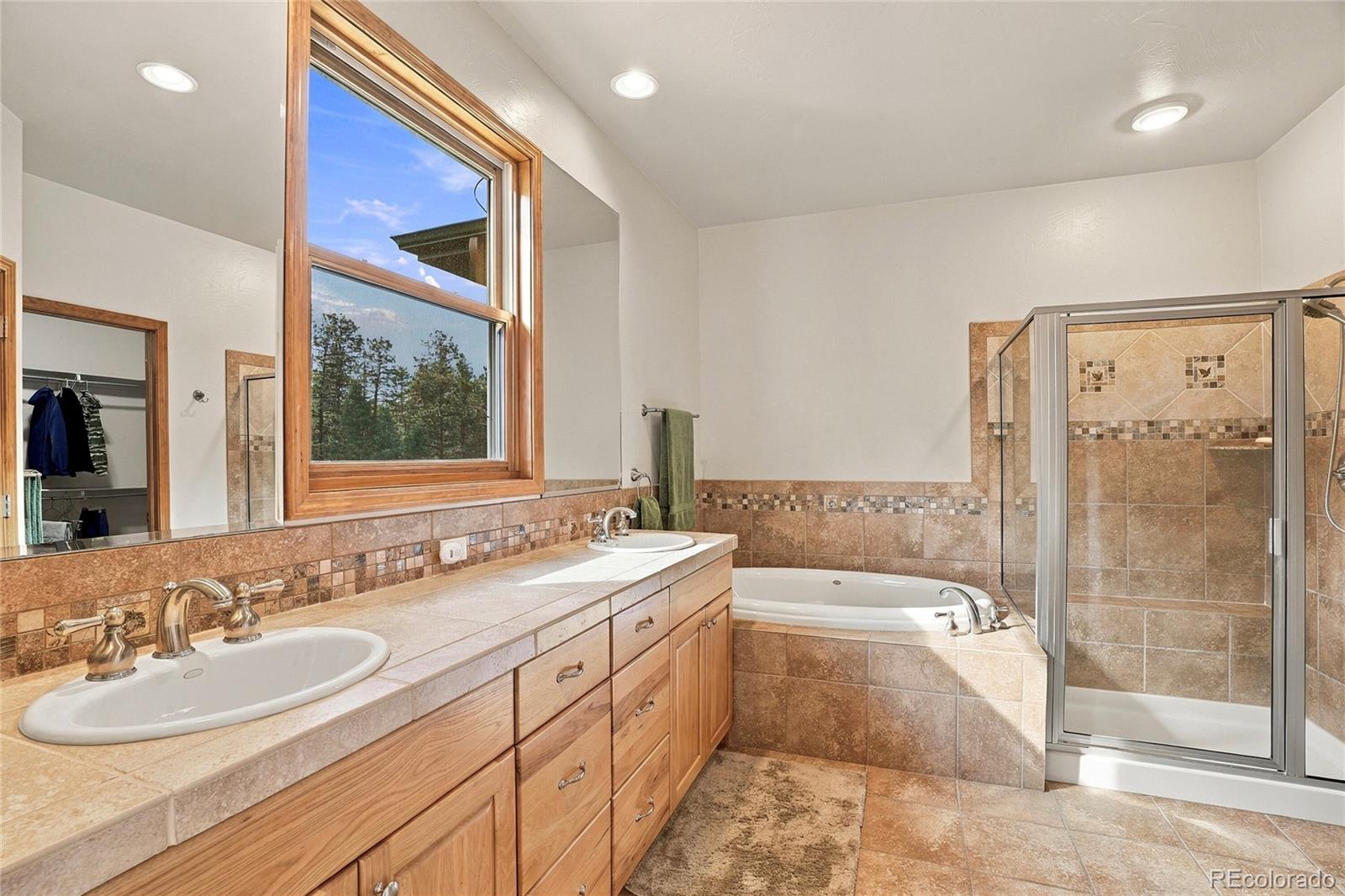 MLS Image #18 for 28934  amerind springs trail,pine, Colorado
