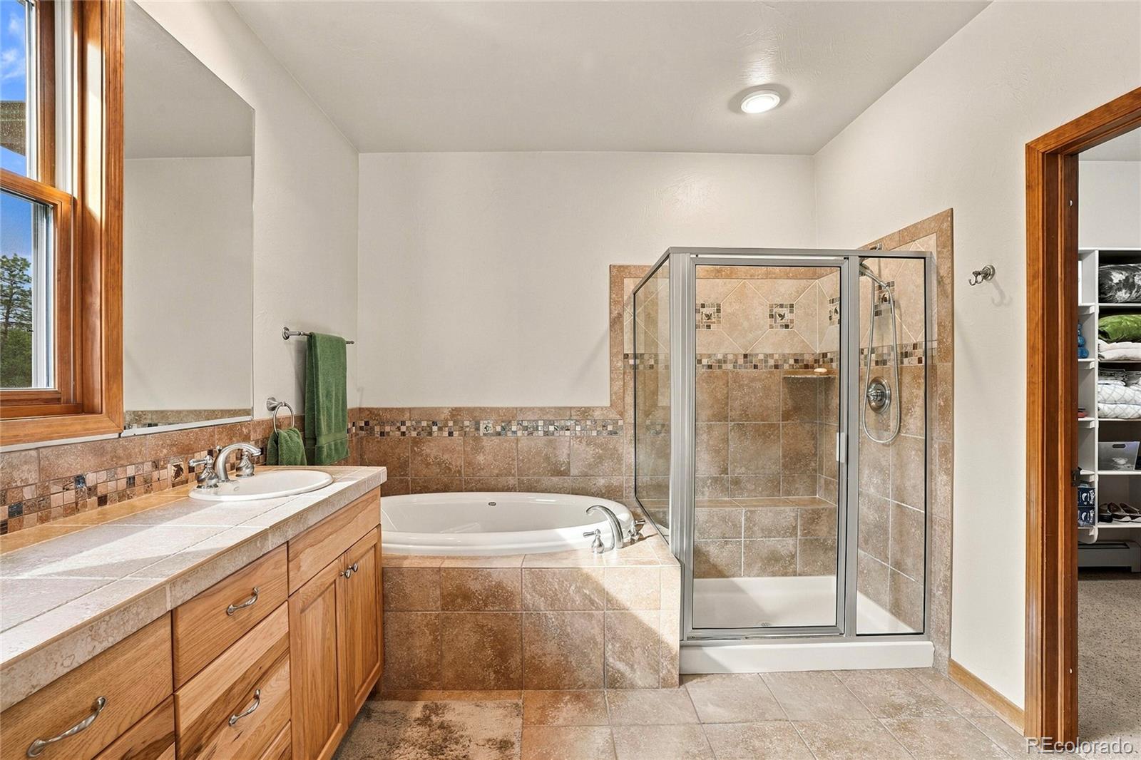 MLS Image #19 for 28934  amerind springs trail,pine, Colorado