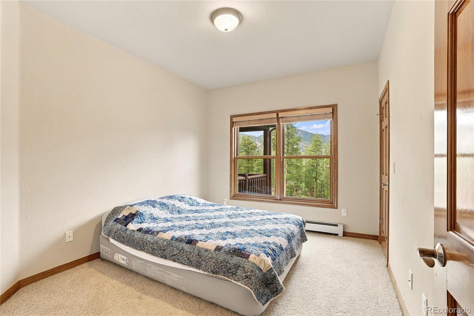 MLS Image #20 for 28934  amerind springs trail,pine, Colorado