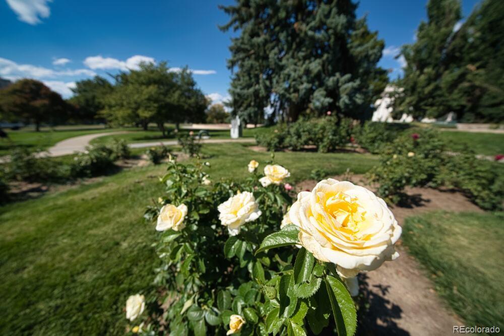 MLS Image #20 for 1260  york street 208,denver, Colorado