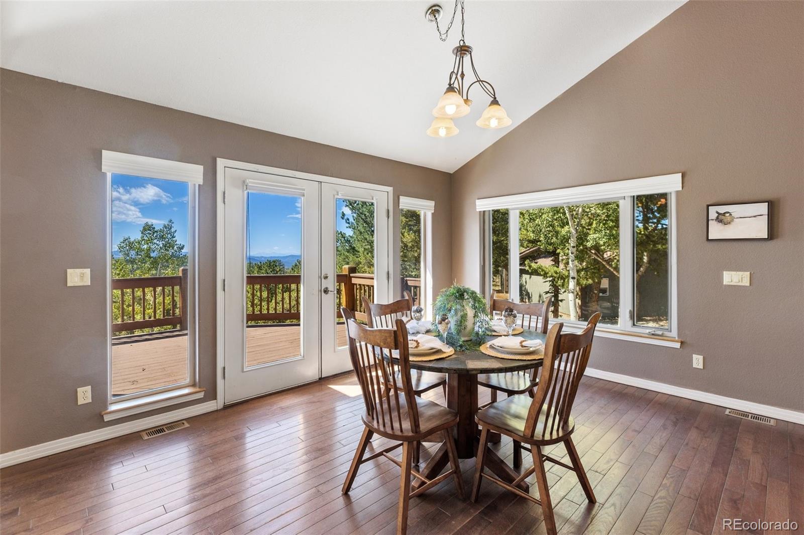 MLS Image #10 for 516  saguache drive,florissant, Colorado
