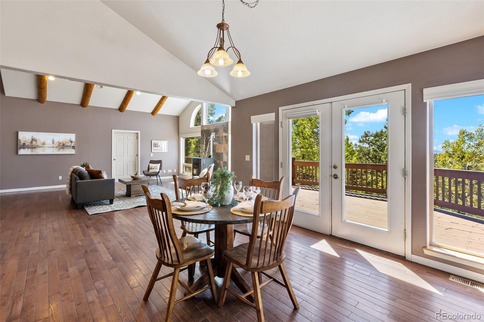 MLS Image #11 for 516  saguache drive,florissant, Colorado