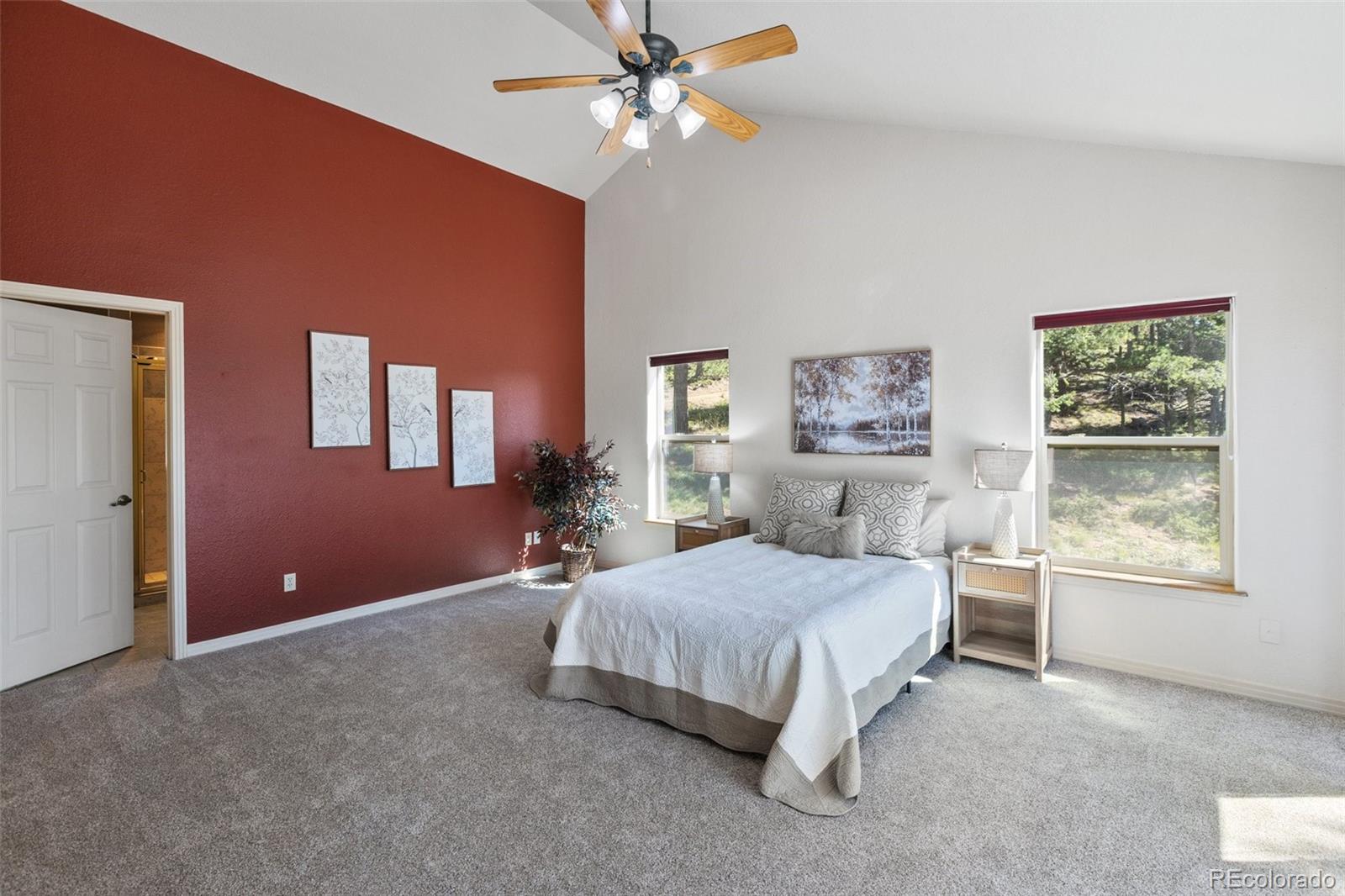 MLS Image #17 for 516  saguache drive,florissant, Colorado