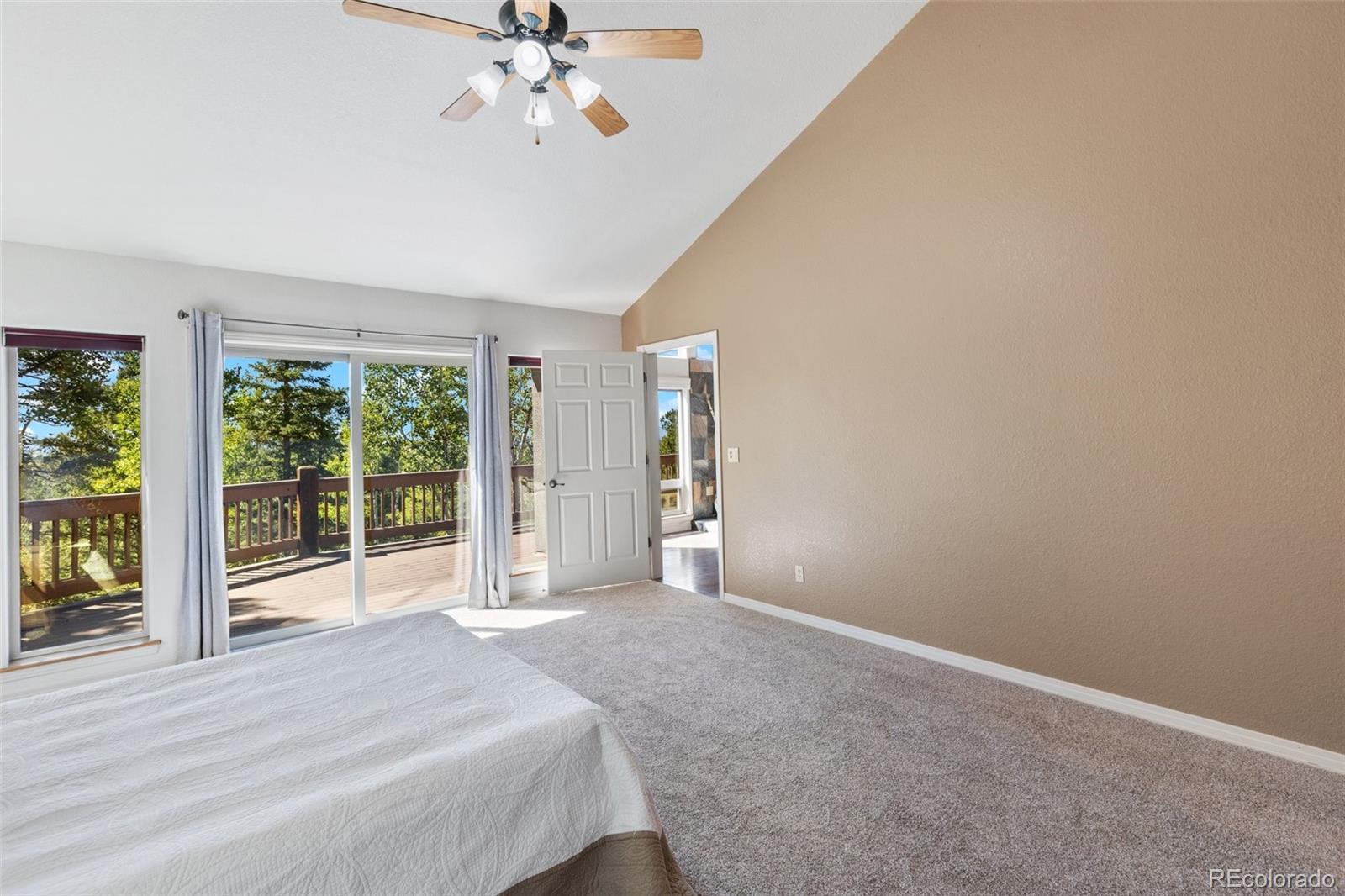 MLS Image #18 for 516  saguache drive,florissant, Colorado