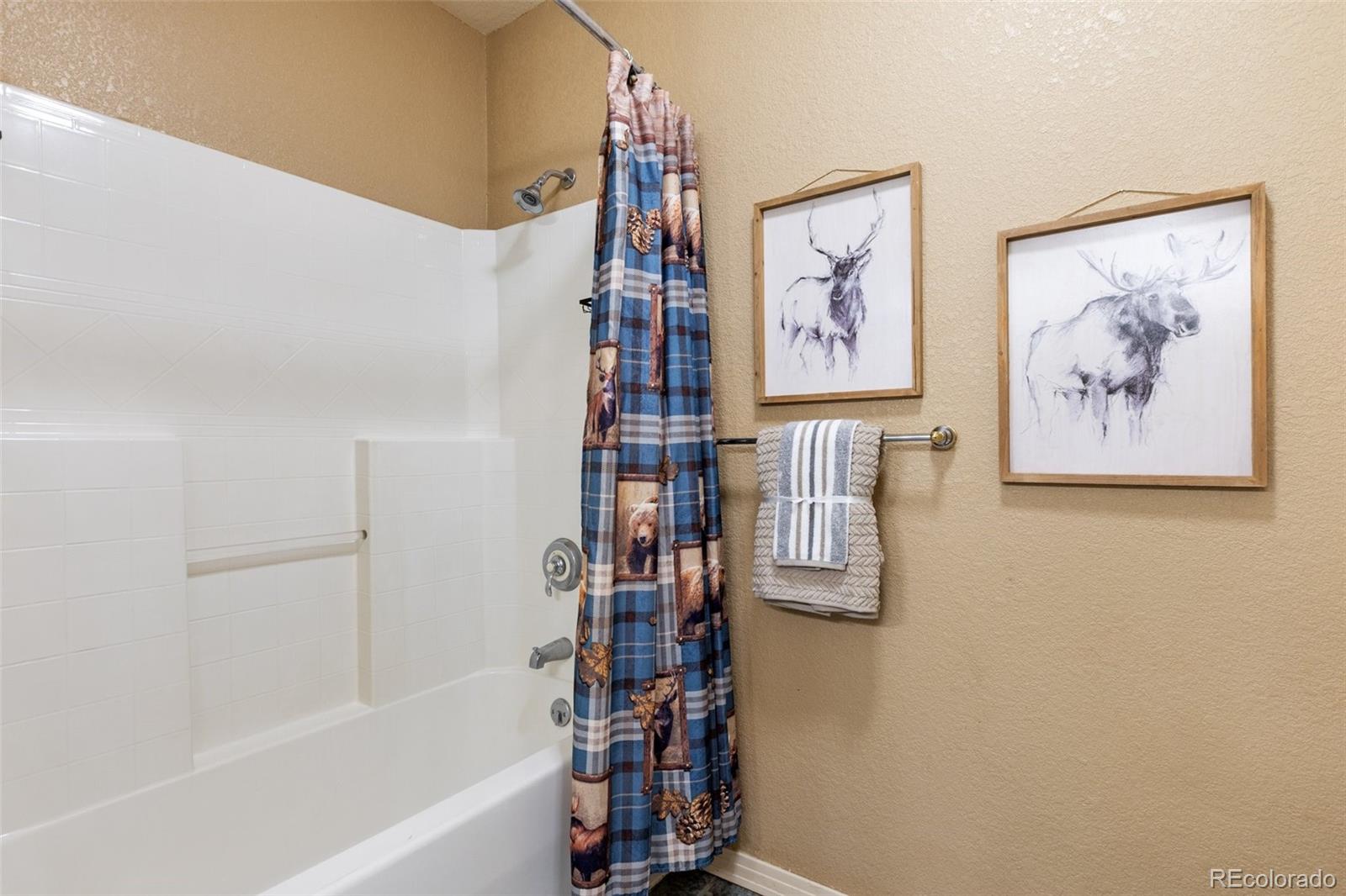 MLS Image #22 for 516  saguache drive,florissant, Colorado