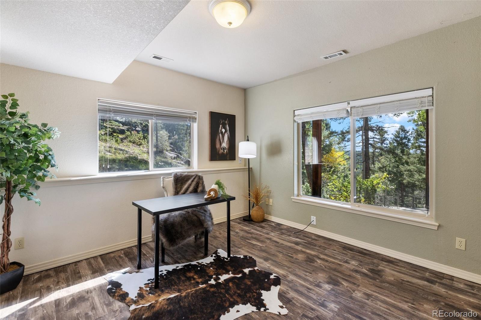 MLS Image #23 for 516  saguache drive,florissant, Colorado