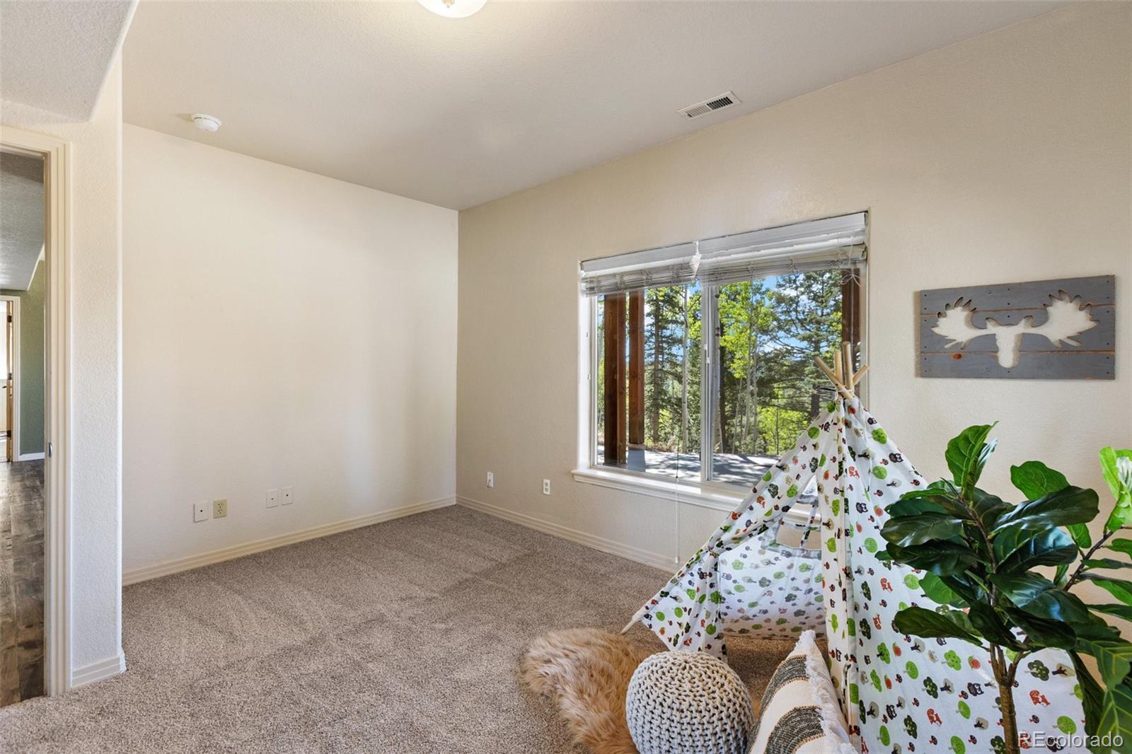 MLS Image #29 for 516  saguache drive,florissant, Colorado