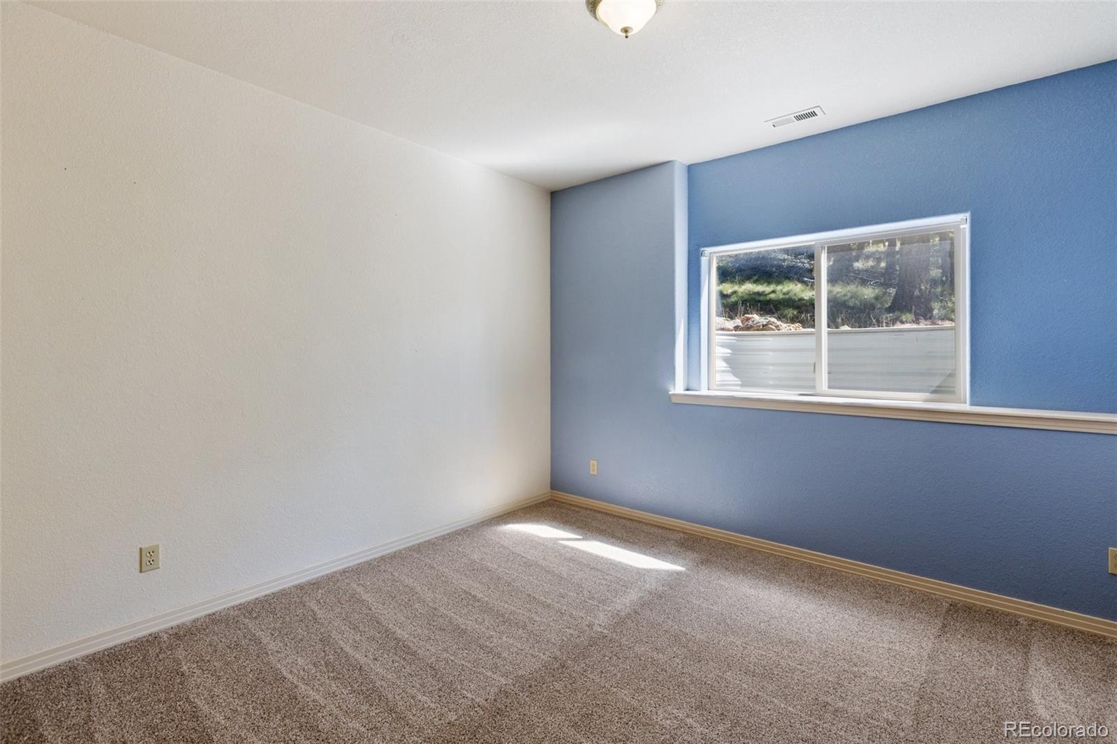 MLS Image #31 for 516  saguache drive,florissant, Colorado