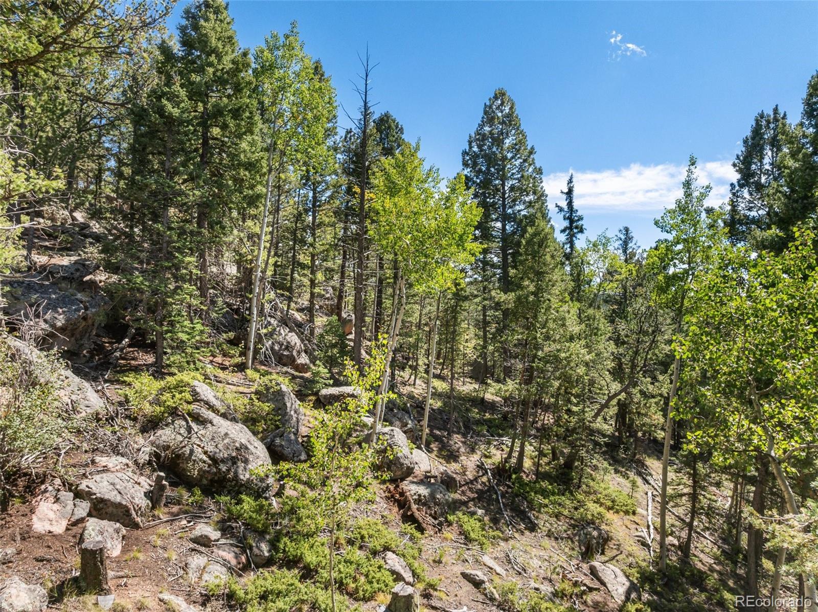 MLS Image #39 for 516  saguache drive,florissant, Colorado
