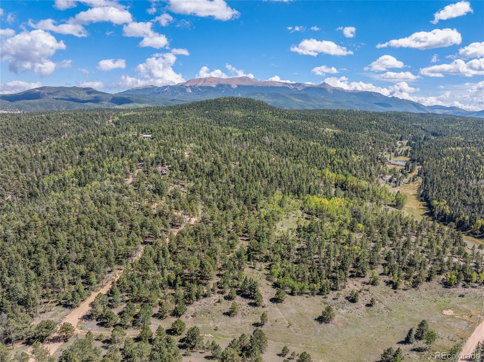 MLS Image #43 for 516  saguache drive,florissant, Colorado