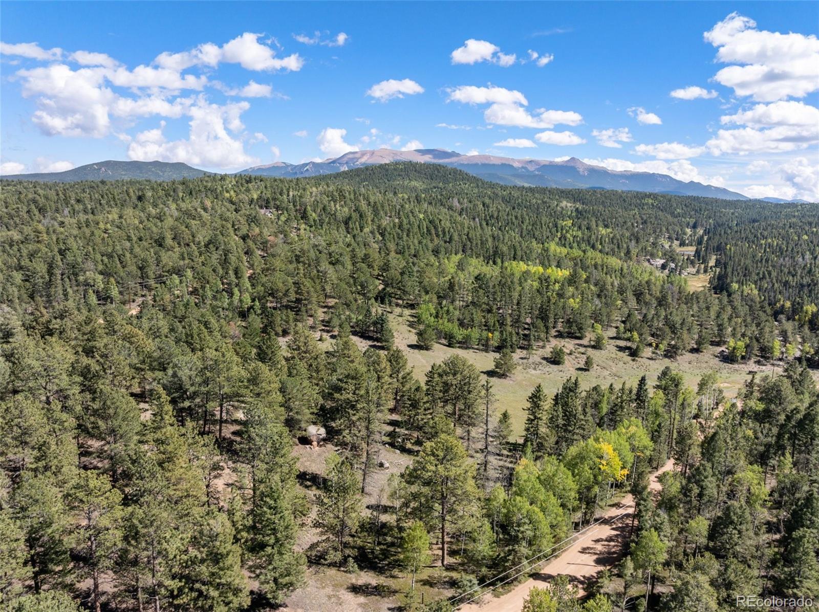 MLS Image #44 for 516  saguache drive,florissant, Colorado