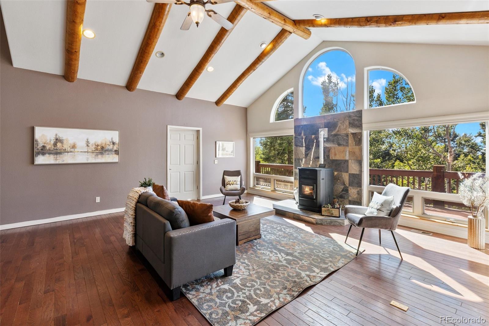 MLS Image #6 for 516  saguache drive,florissant, Colorado