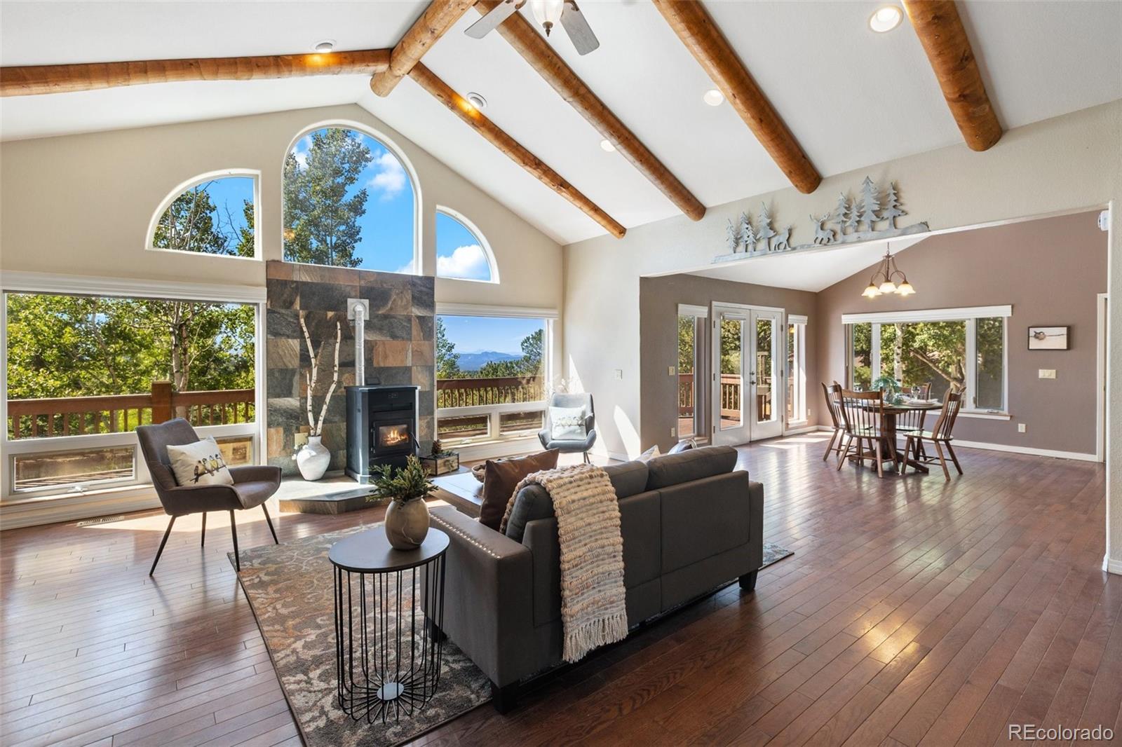 MLS Image #7 for 516  saguache drive,florissant, Colorado