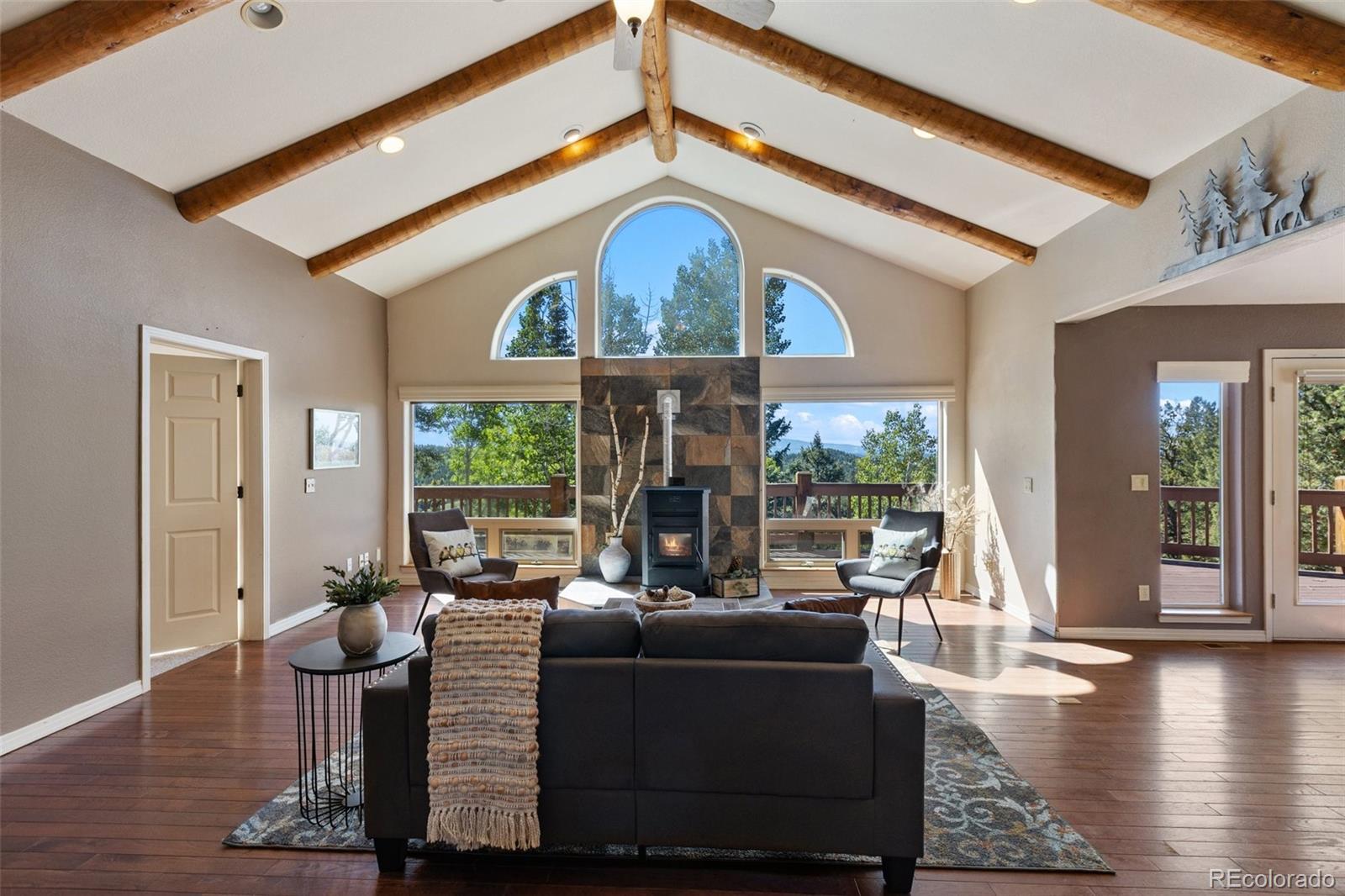 MLS Image #8 for 516  saguache drive,florissant, Colorado
