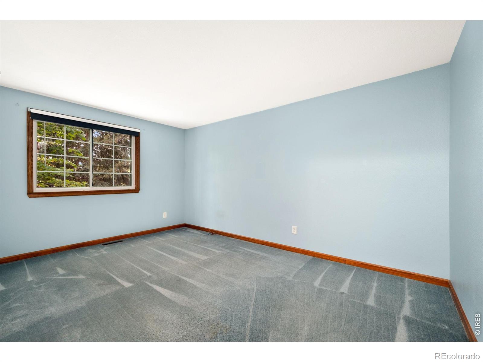 MLS Image #17 for 3344  banyan avenue,loveland, Colorado