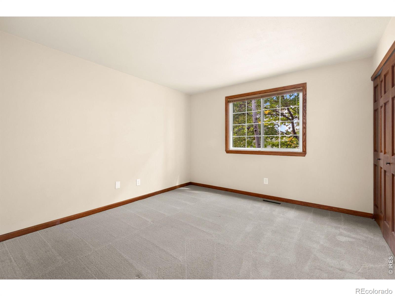 MLS Image #18 for 3344  banyan avenue,loveland, Colorado