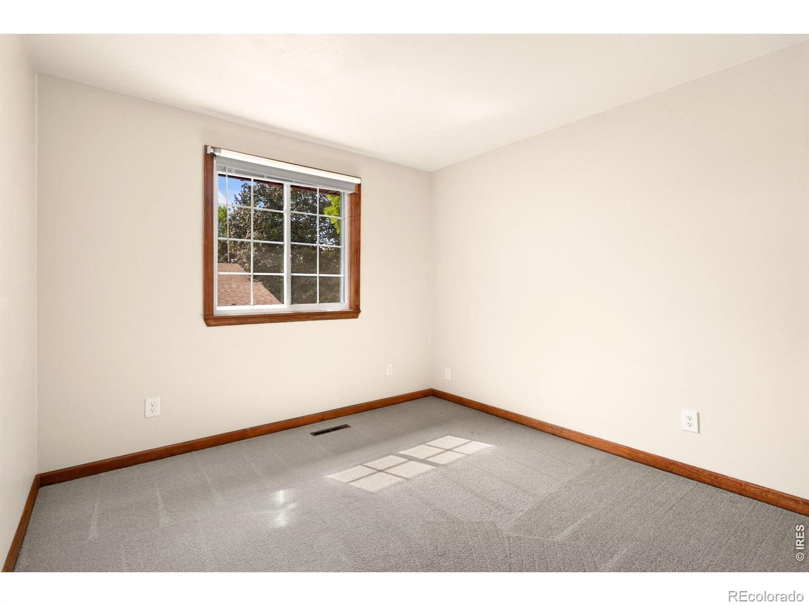 MLS Image #19 for 3344  banyan avenue,loveland, Colorado