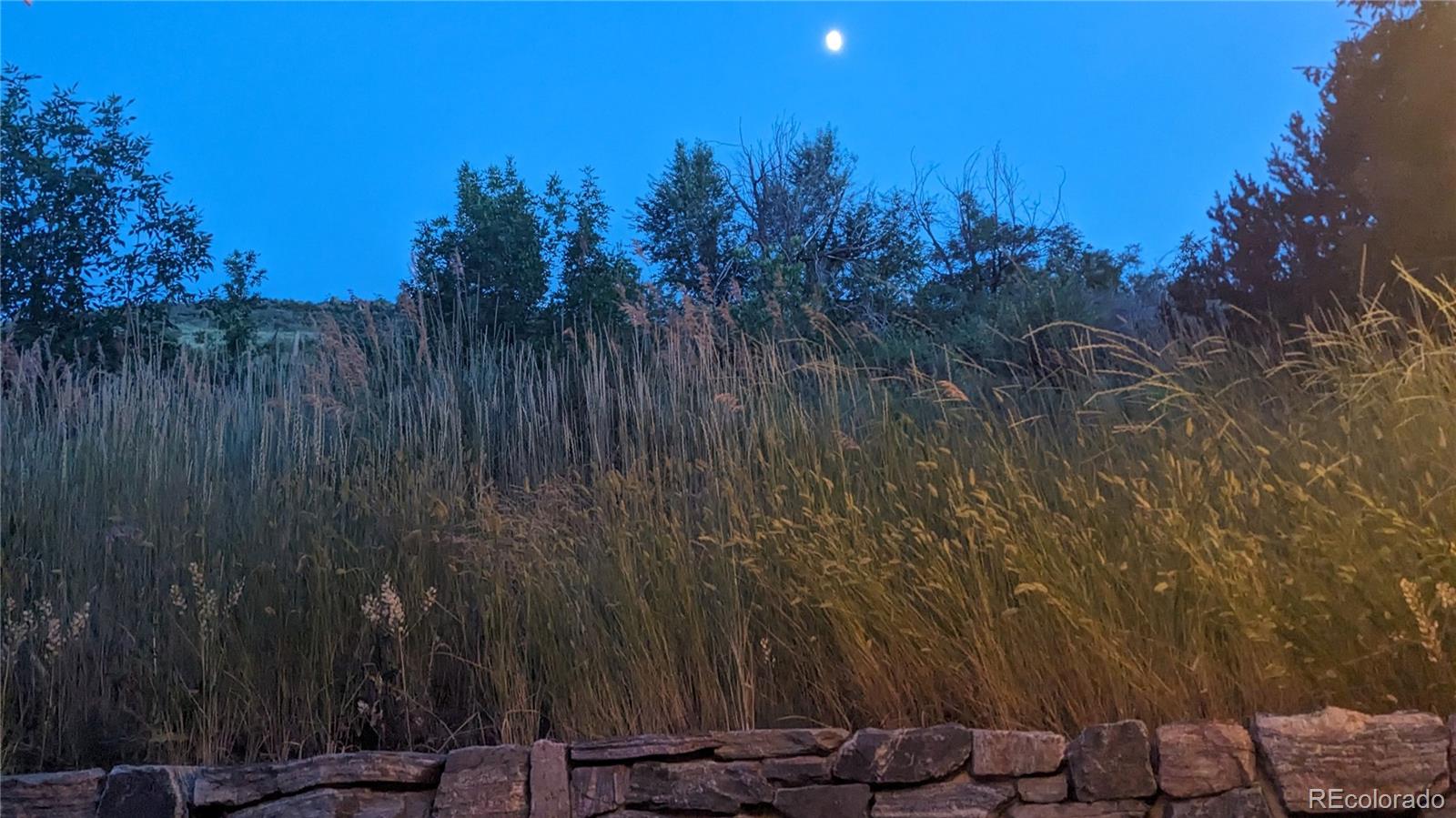 MLS Image #39 for 15050  foothill road,golden, Colorado