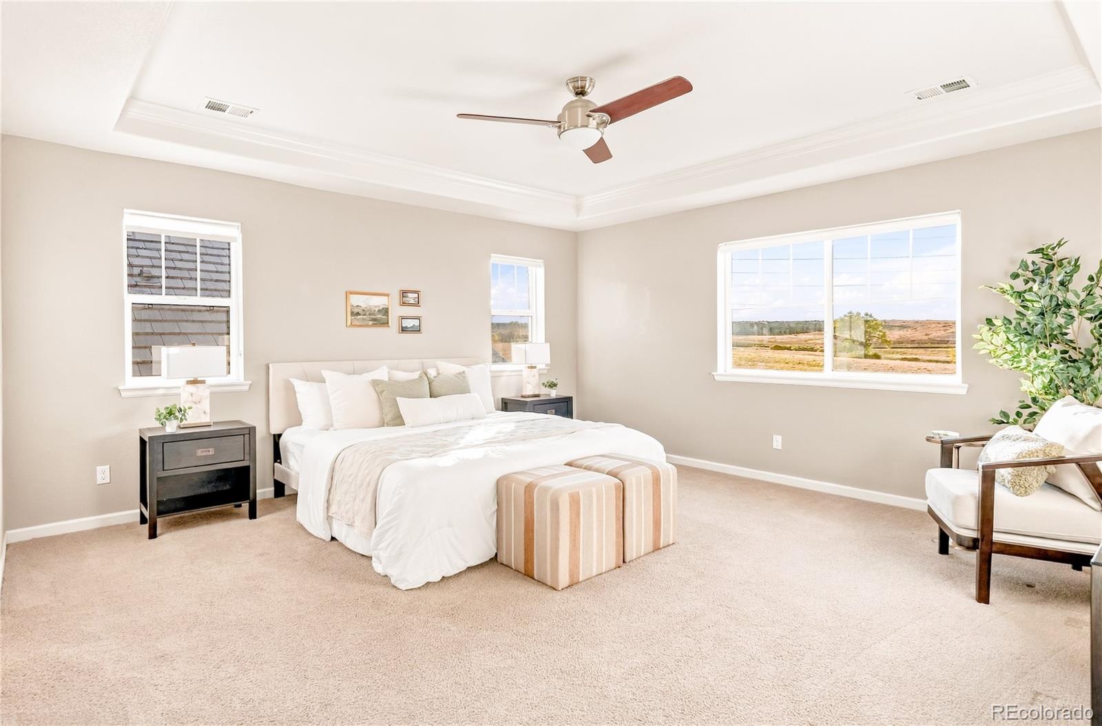 MLS Image #20 for 13823  ashgrove circle,parker, Colorado
