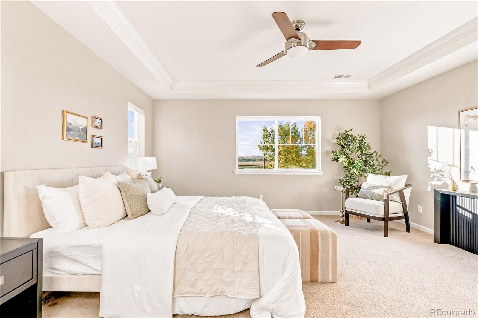 MLS Image #22 for 13823  ashgrove circle,parker, Colorado