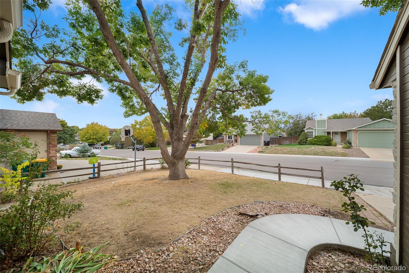 MLS Image #20 for 11562  newland street,broomfield, Colorado