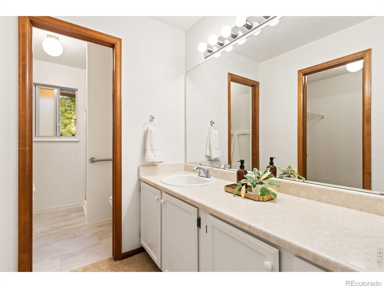 MLS Image #22 for 3465  lochwood drive,fort collins, Colorado
