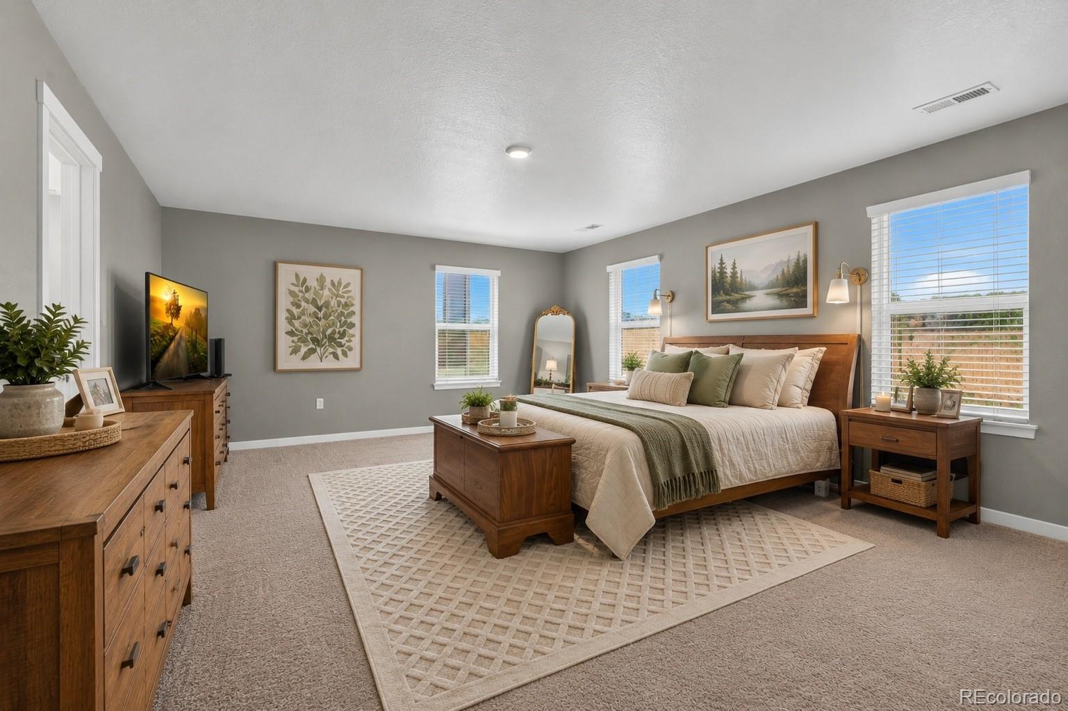 MLS Image #15 for 14225  purple aster way,parker, Colorado