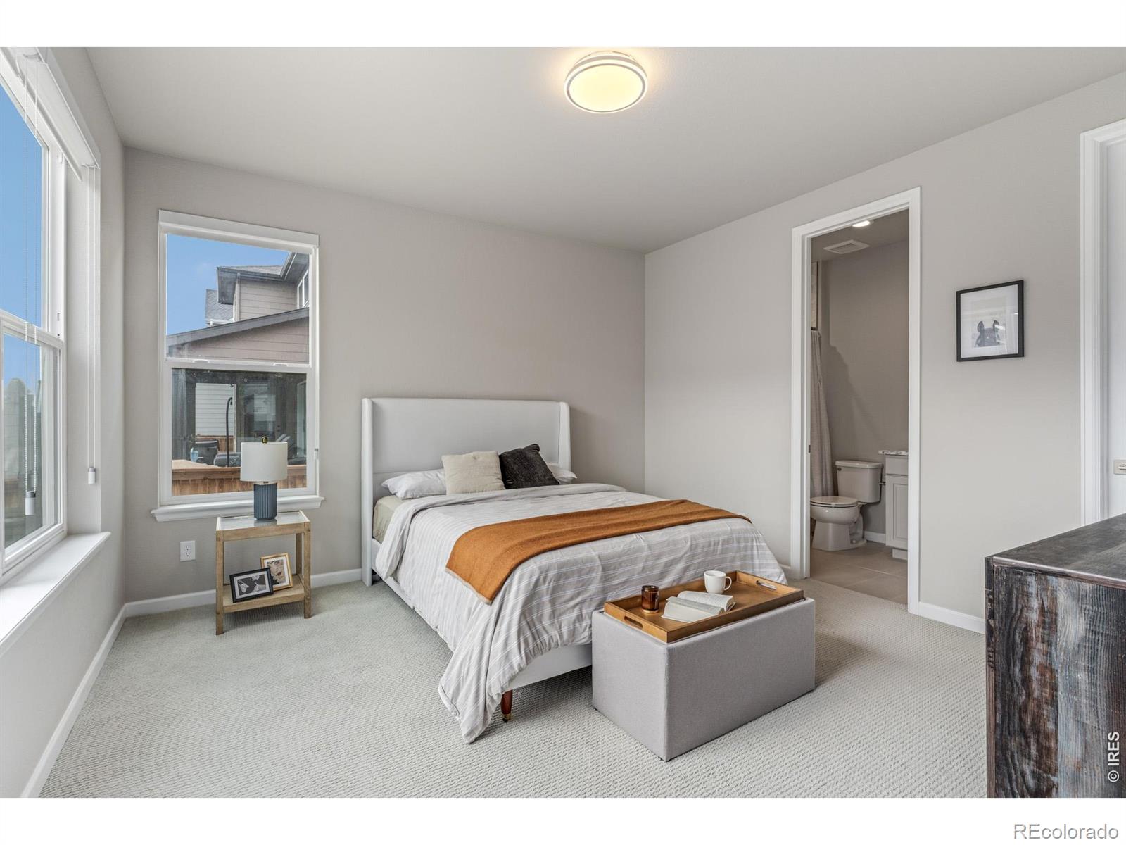 MLS Image #16 for 4392  shivaree street,timnath, Colorado