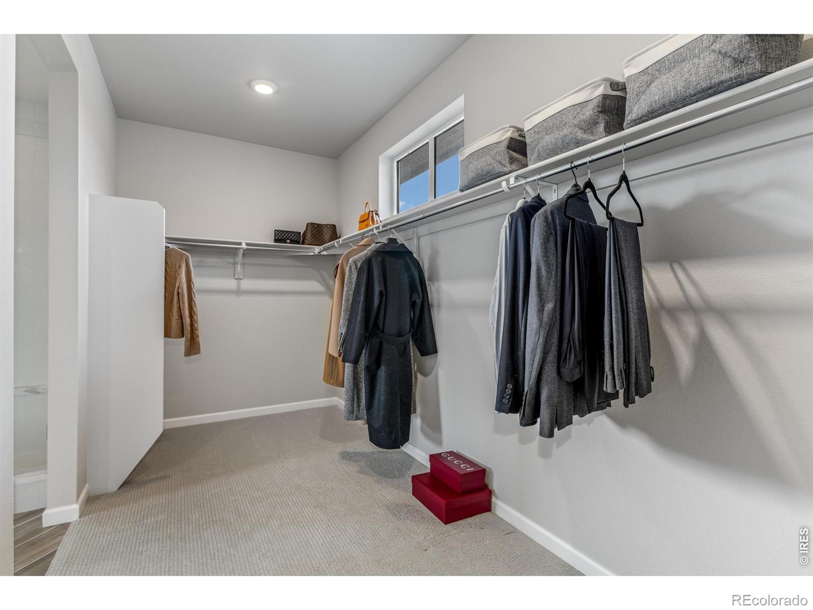 MLS Image #28 for 4392  shivaree street,timnath, Colorado