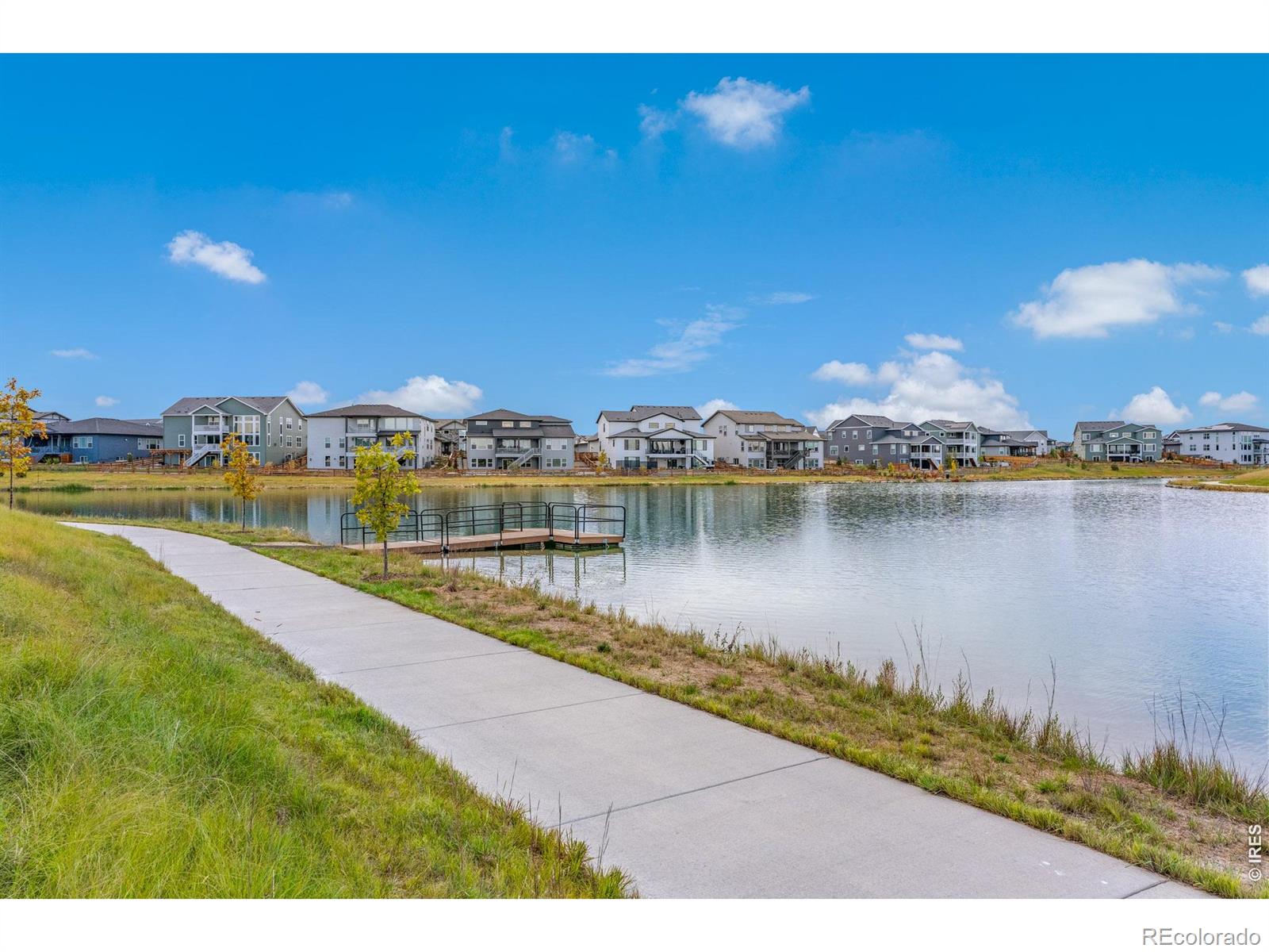 MLS Image #45 for 4392  shivaree street,timnath, Colorado