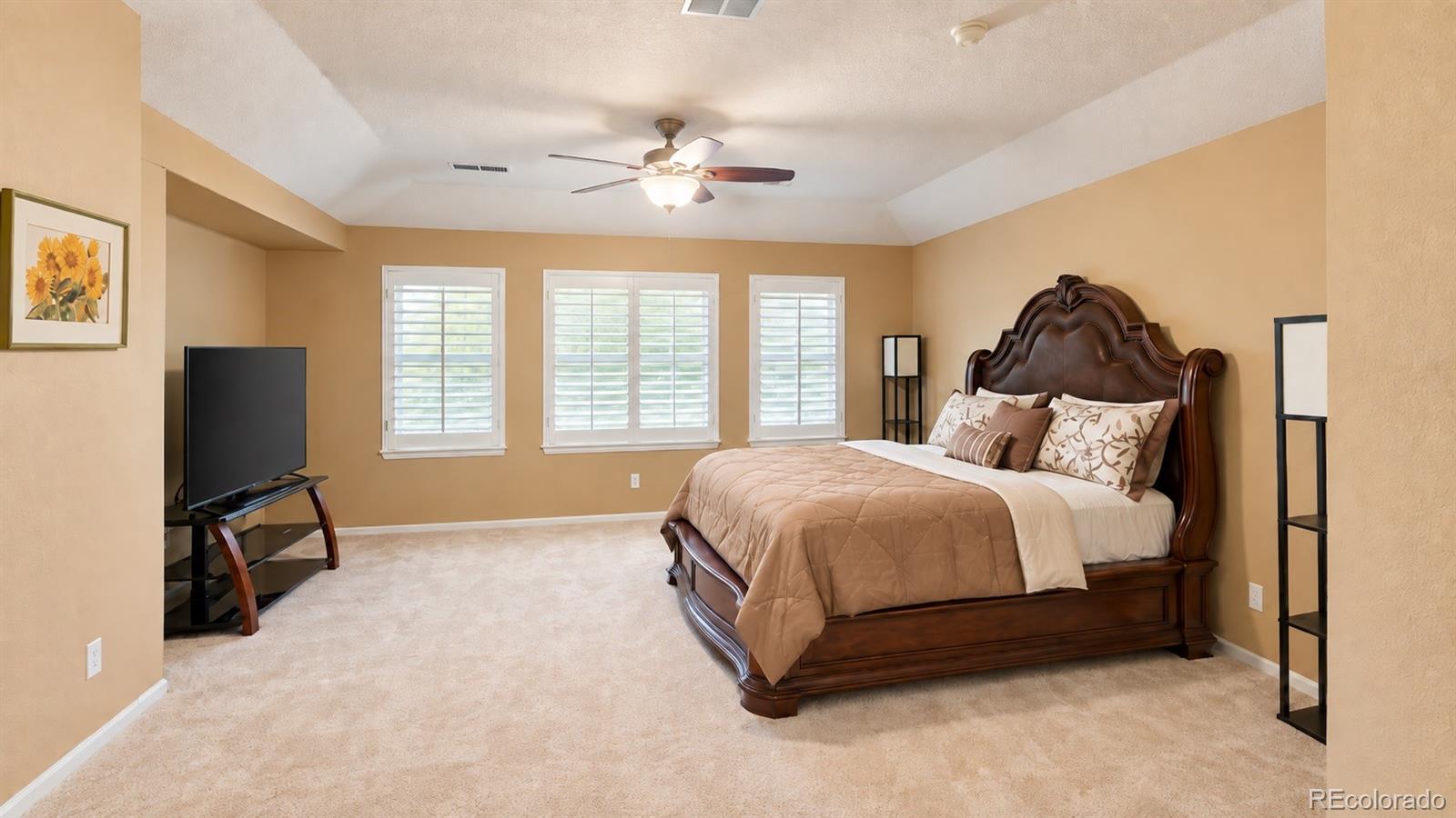 MLS Image #10 for 10621  briarglen circle,highlands ranch, Colorado
