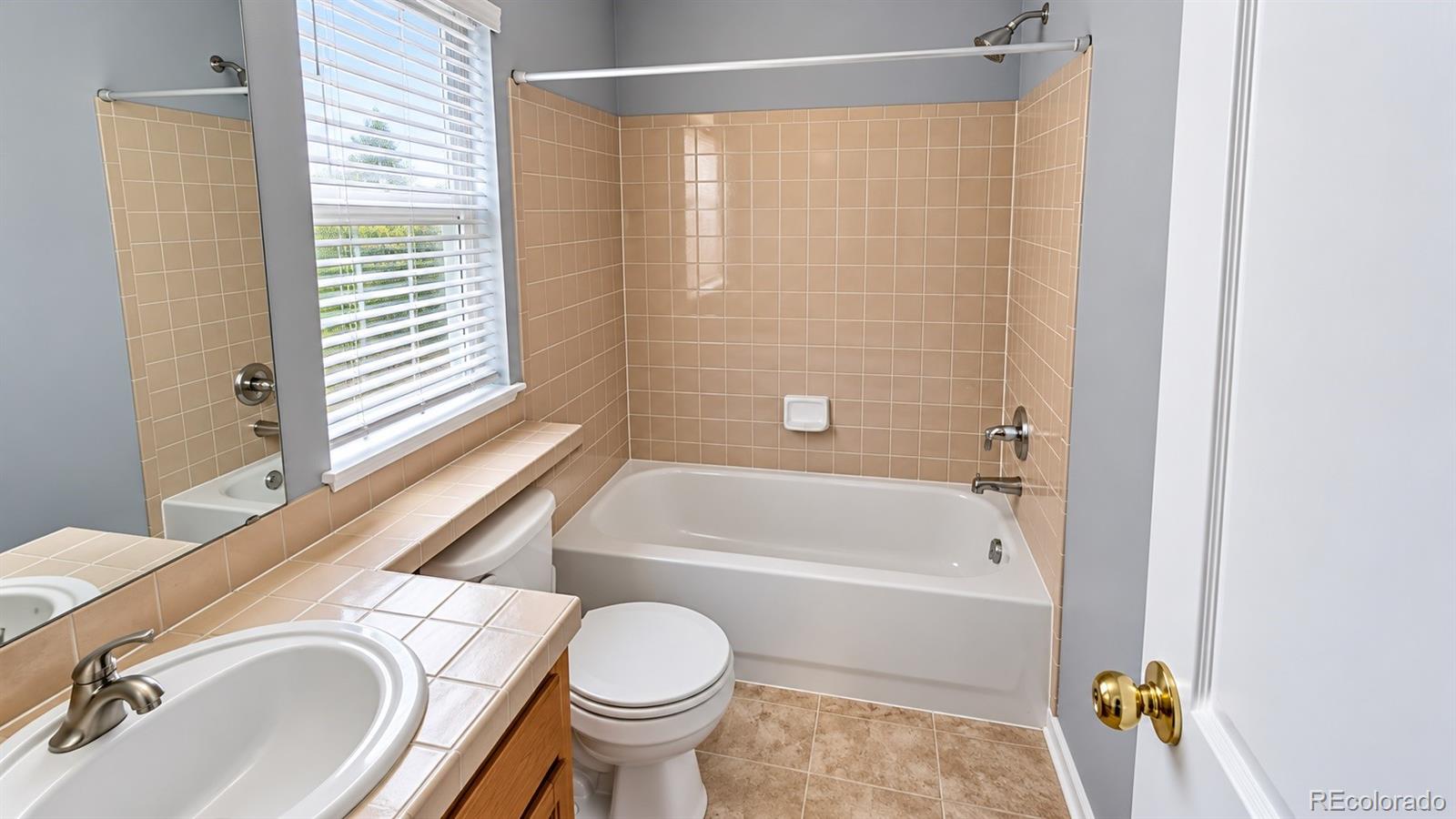 MLS Image #16 for 10621  briarglen circle,highlands ranch, Colorado