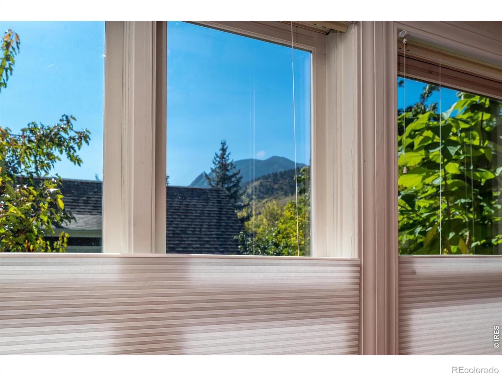 MLS Image #10 for 429  canyon boulevard,boulder, Colorado