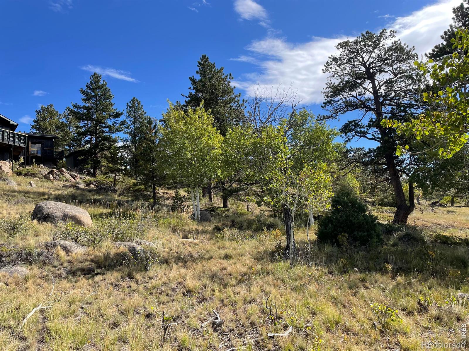 MLS Image #11 for 123  tahlequah way,red feather lakes, Colorado
