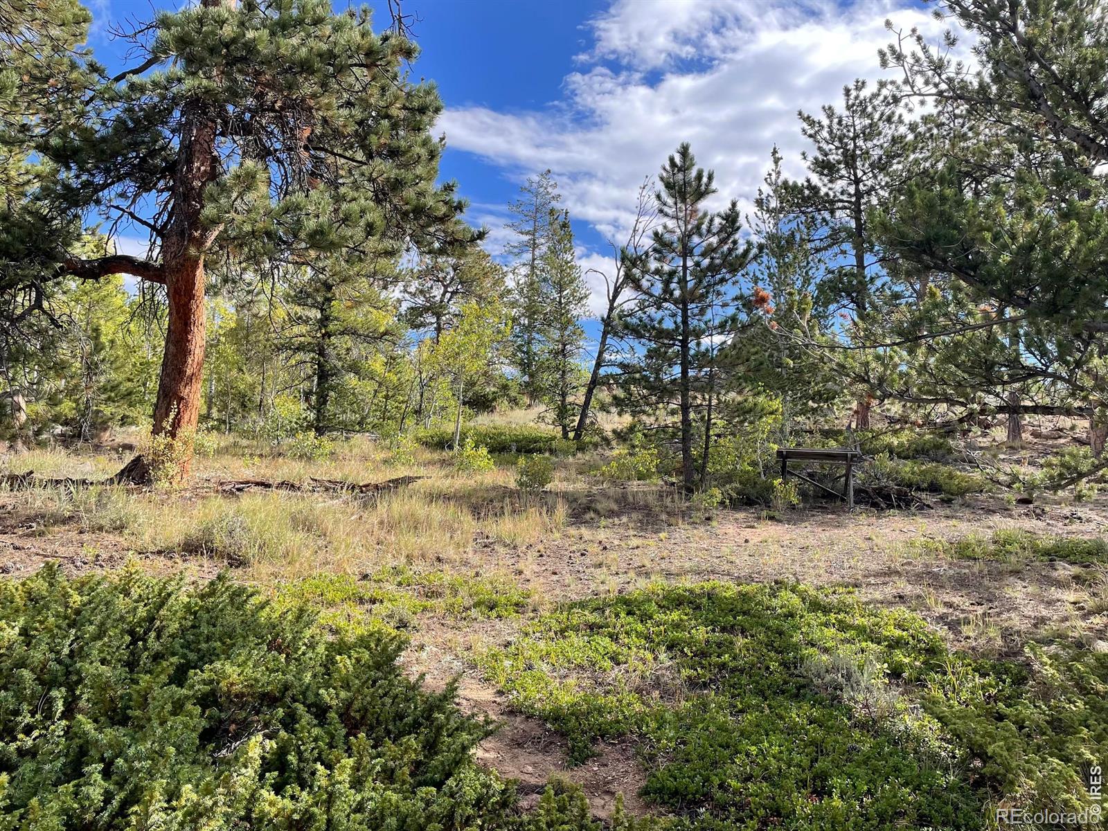 MLS Image #12 for 123  tahlequah way,red feather lakes, Colorado