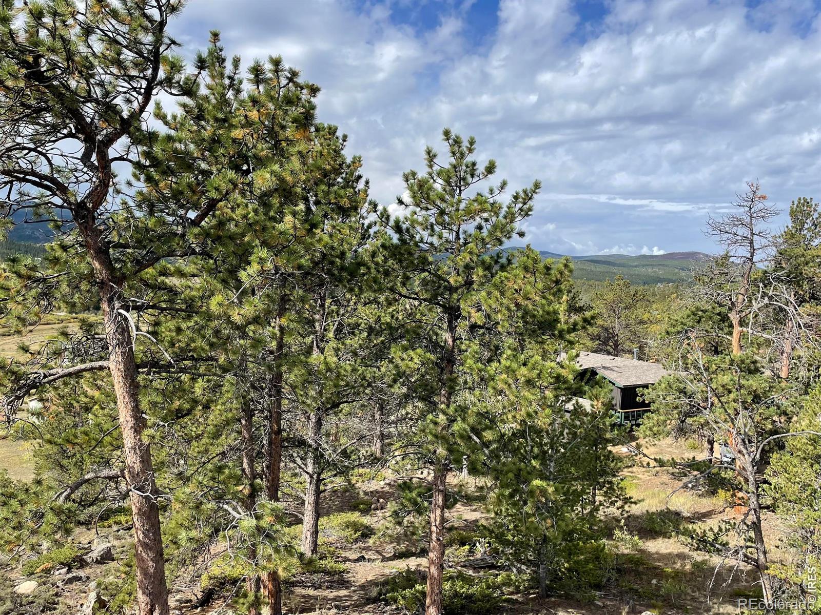 MLS Image #14 for 123  tahlequah way,red feather lakes, Colorado