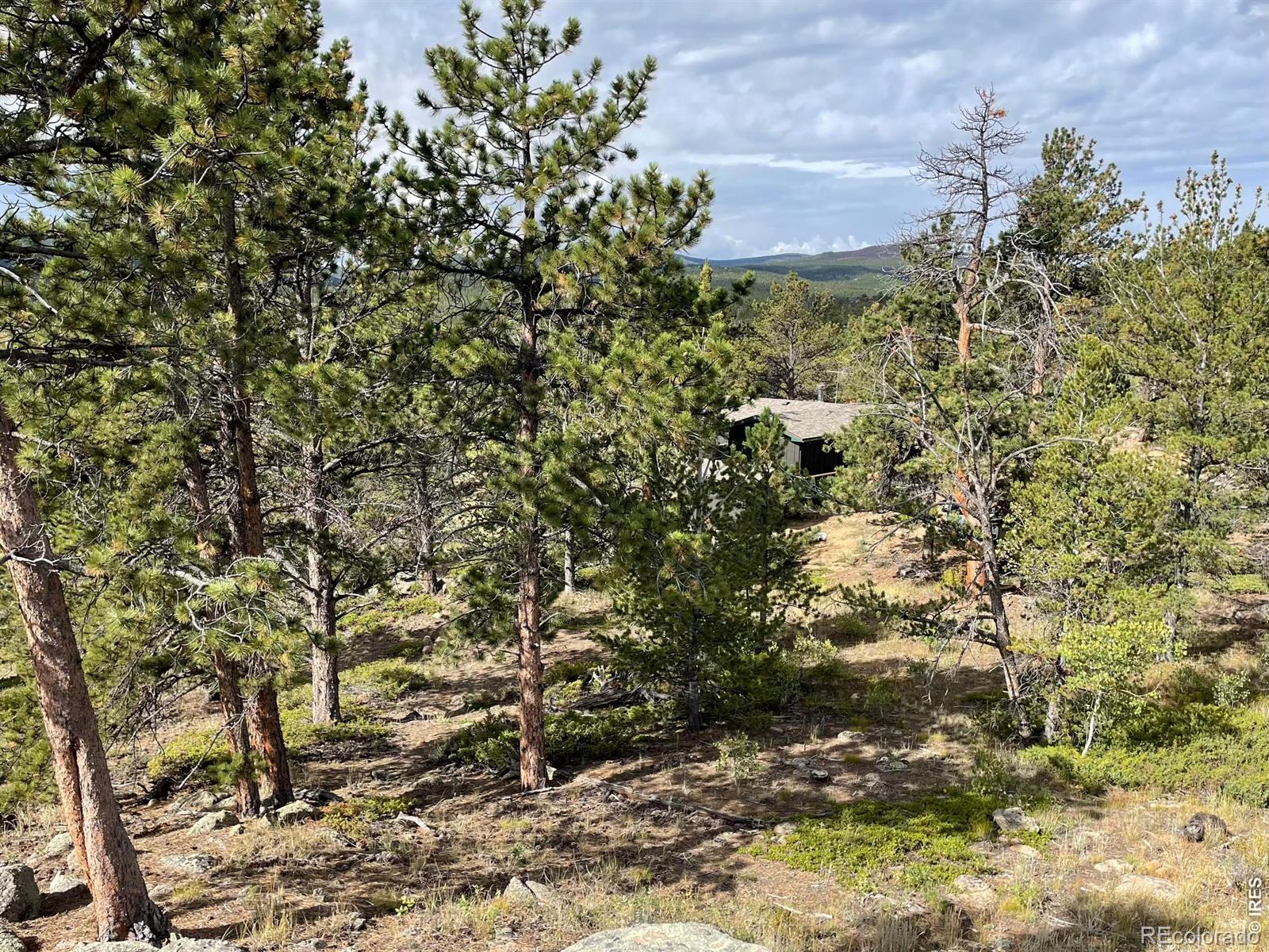 MLS Image #16 for 123  tahlequah way,red feather lakes, Colorado