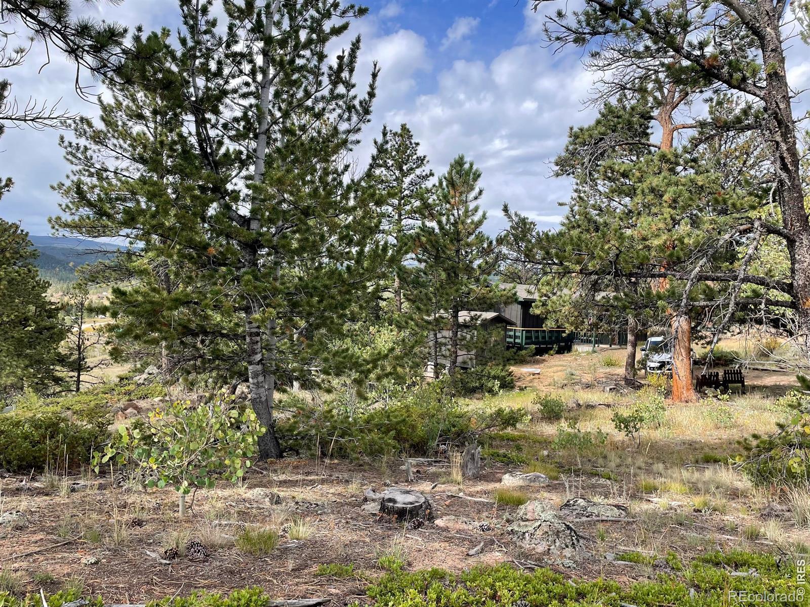 MLS Image #19 for 123  tahlequah way,red feather lakes, Colorado