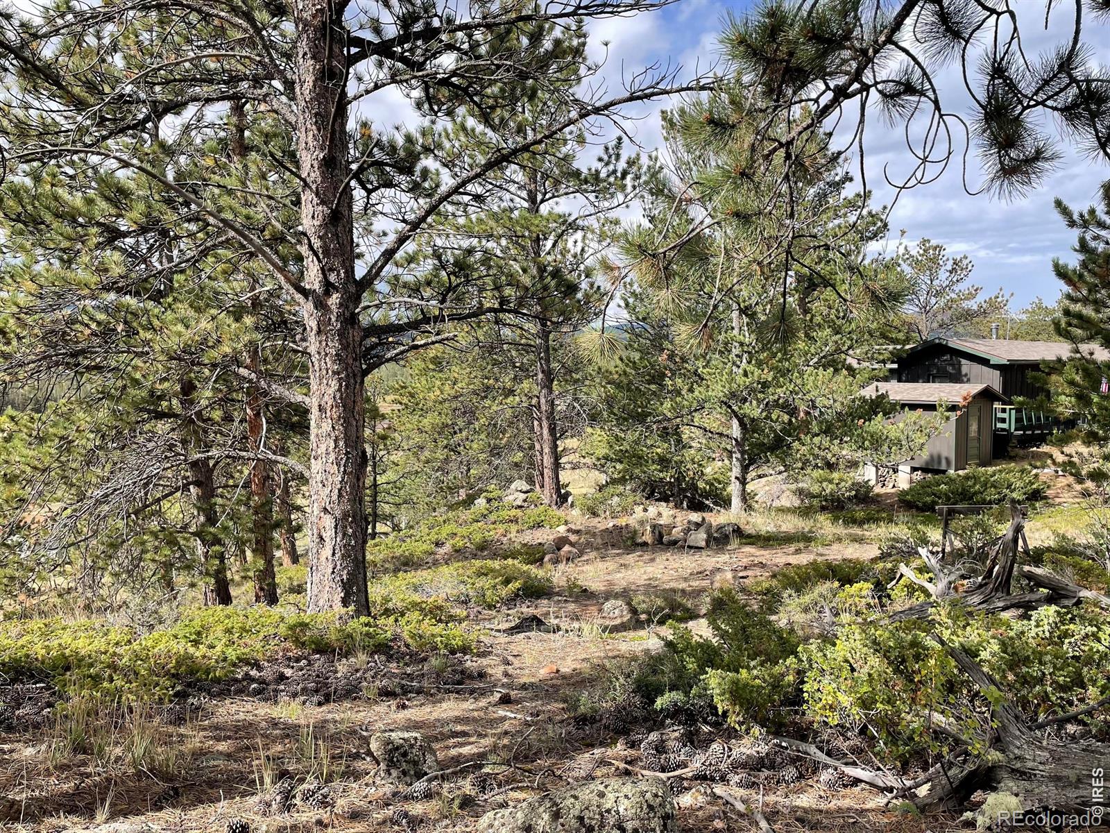 MLS Image #20 for 123  tahlequah way,red feather lakes, Colorado