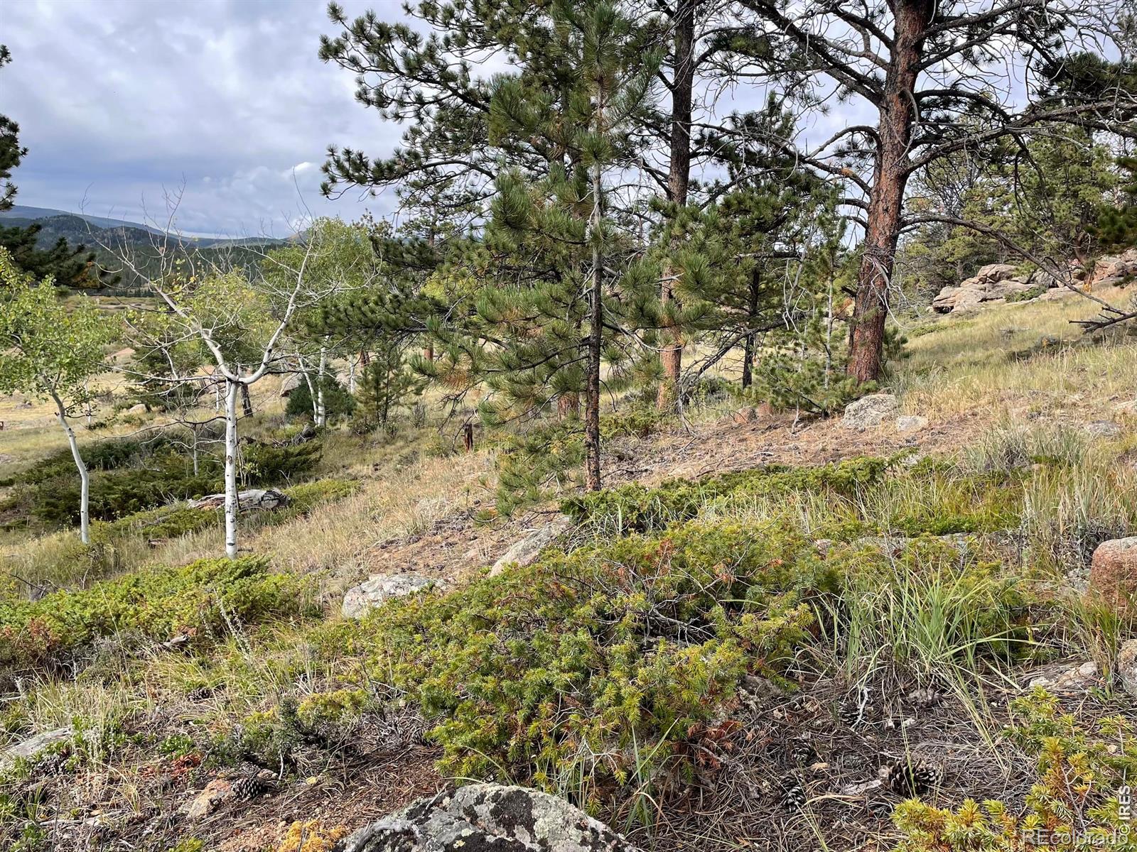 MLS Image #24 for 123  tahlequah way,red feather lakes, Colorado