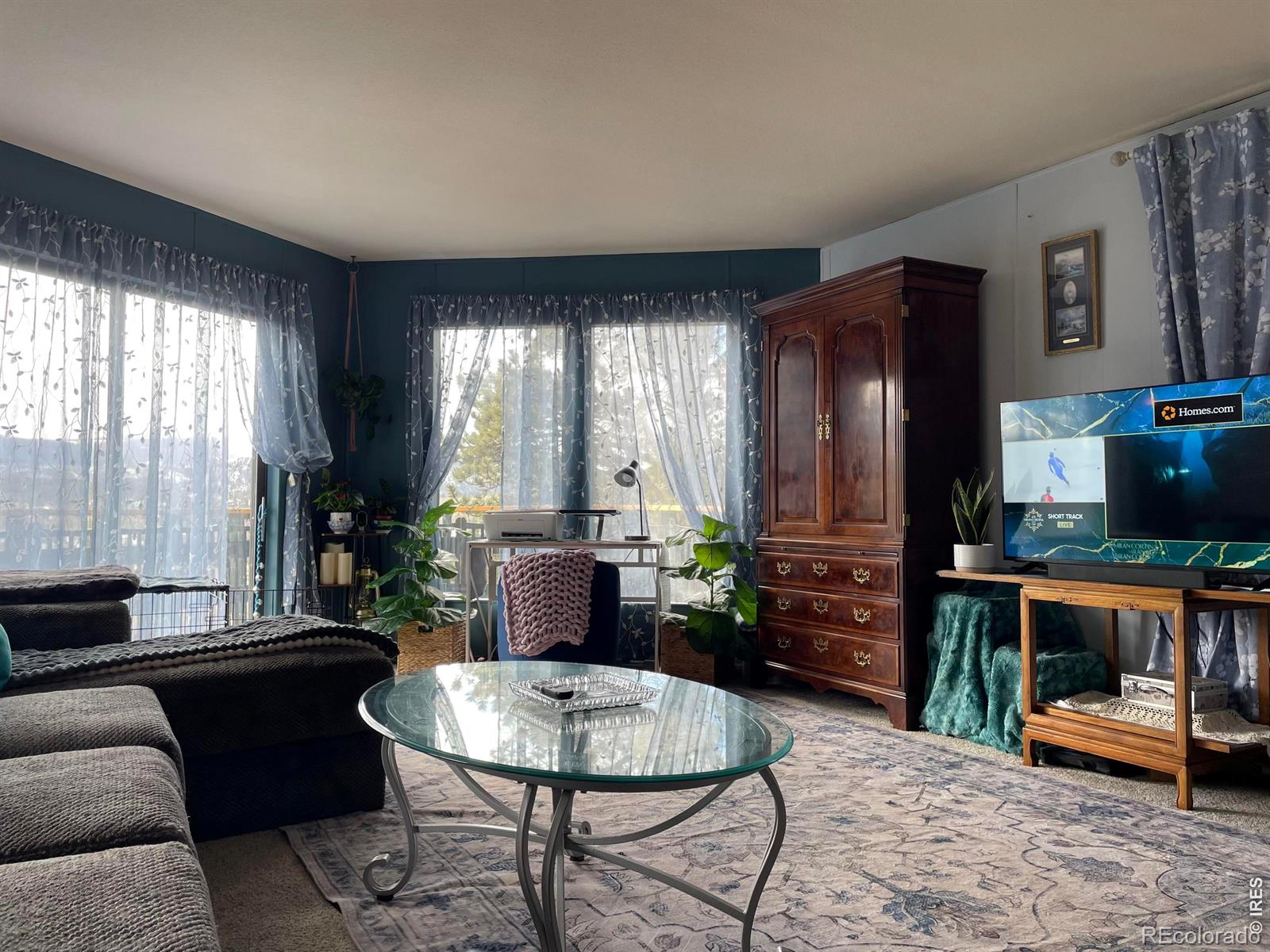 MLS Image #28 for 123  tahlequah way,red feather lakes, Colorado